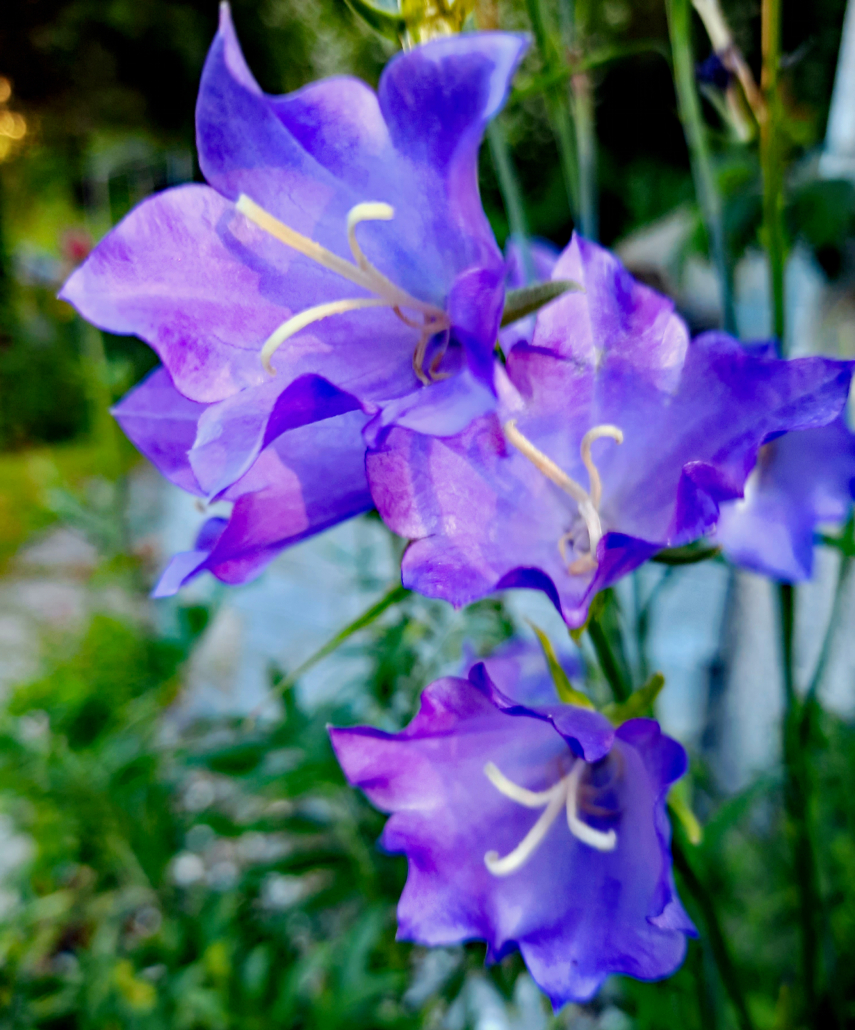 Philosophie Philosophie